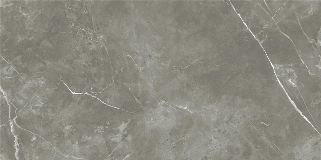 Ecoceramic Luxe Puccini Gris Polished 30x60 (R)