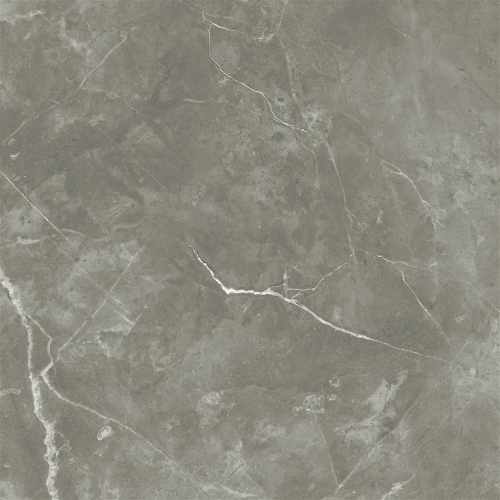 Ecoceramic Luxe Puccini Gris Polished 60x60 (R)