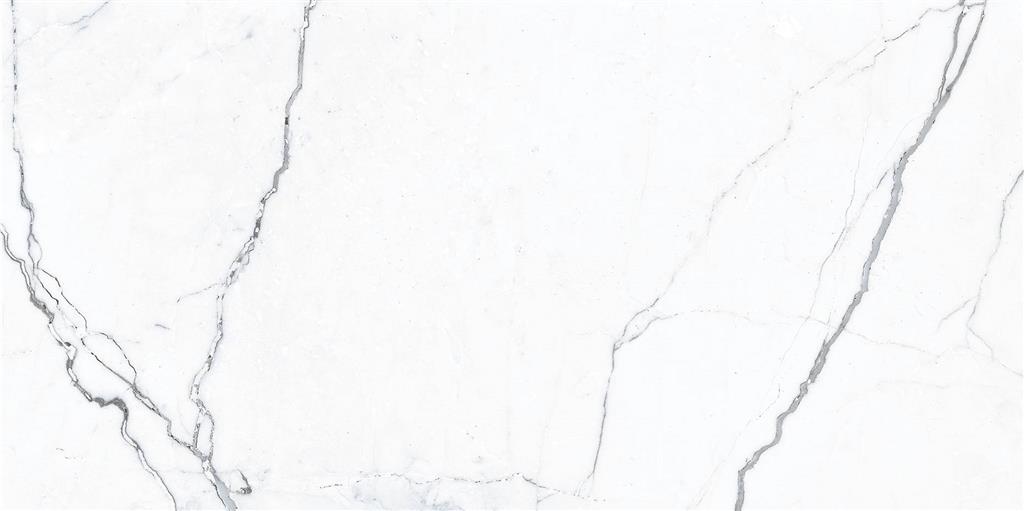 Ecoceramic Luxe Elegance Marble White Polished 30x60 (R)