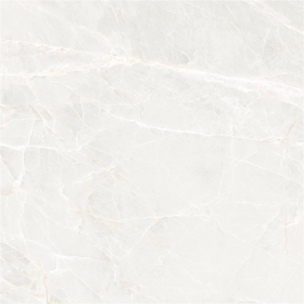 Ecoceramic Brasilia White Polished 120x120 (R)