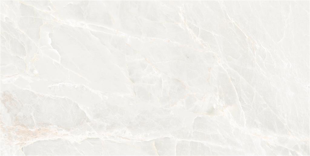 Ecoceramic Brasilia White Polished 75x150 (R)