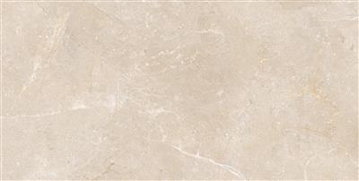 Ecoceramic Luxe Atenas Polished 60x120 (R)