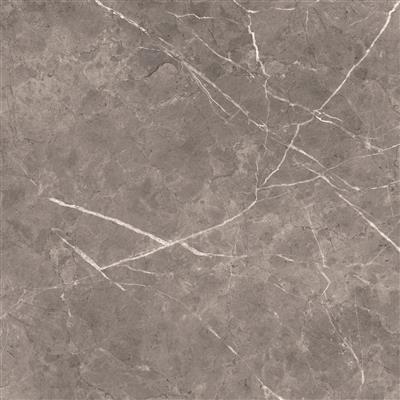 Ecoceramic Luxe Bolonia Polished 60x60 (R)