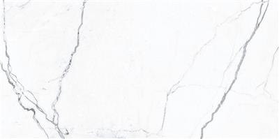 Ecoceramic Luxe Elegance Marble White Polished 30x60 (R)