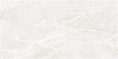 Ecoceramic Brasilia White Polished 75x150 (R)