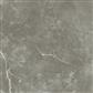 Ecoceramic Luxe Puccini Gris Polished 60x60 (R)